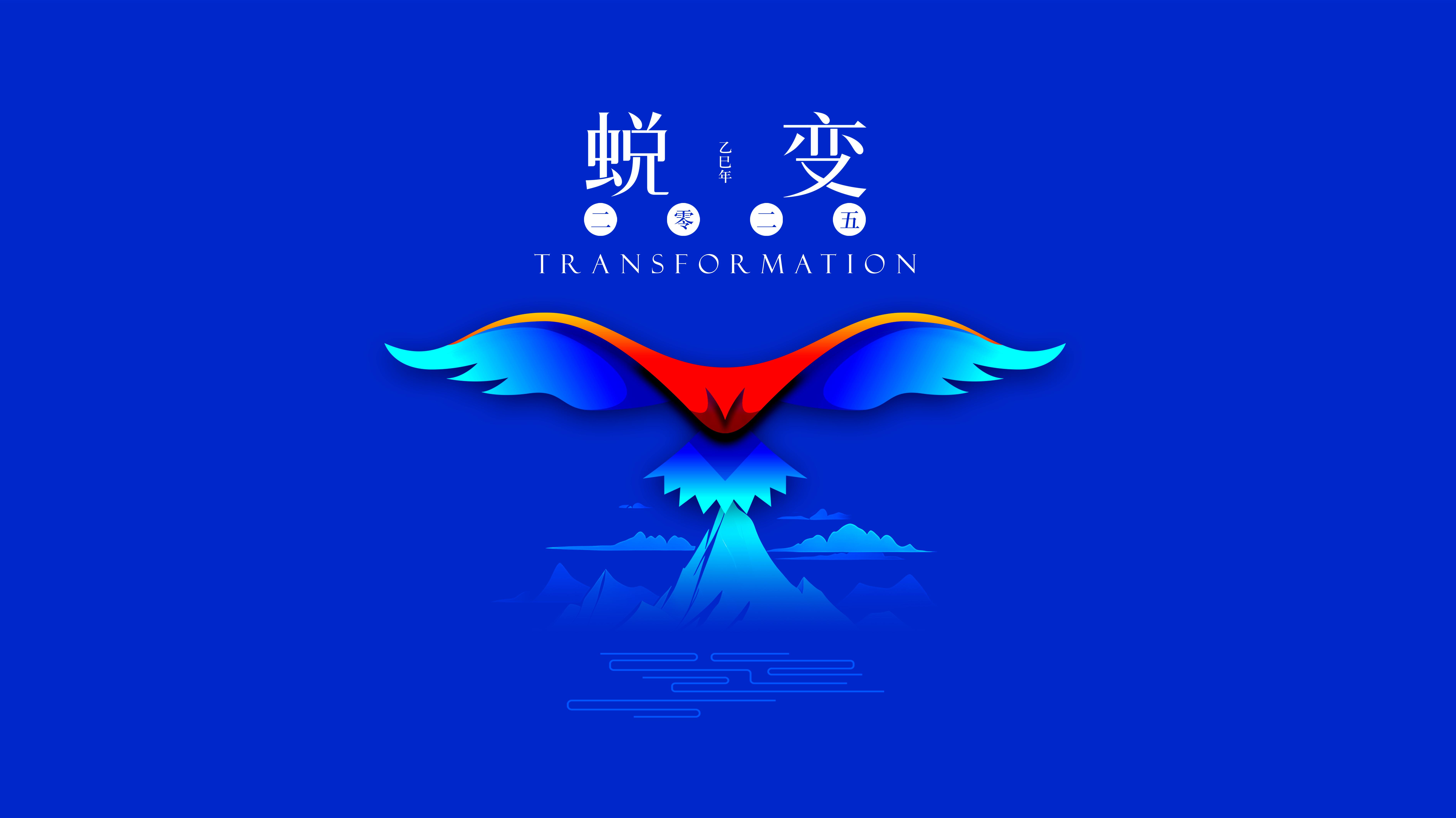 我與海星的2024，期待2025年與您一起續(xù)寫美好篇章